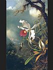 Martin Johnson Heade An Amethyst Hummingbird with a White Orchid painting